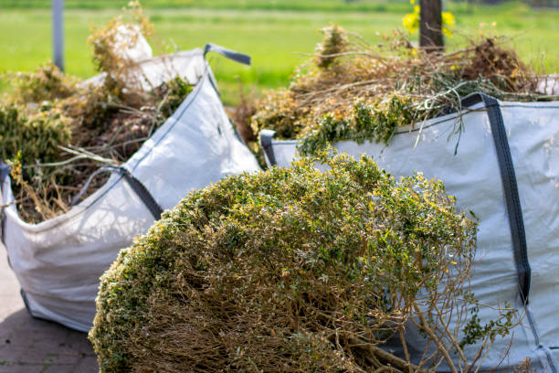 Best Office Junk Removal  in Safford, AZ